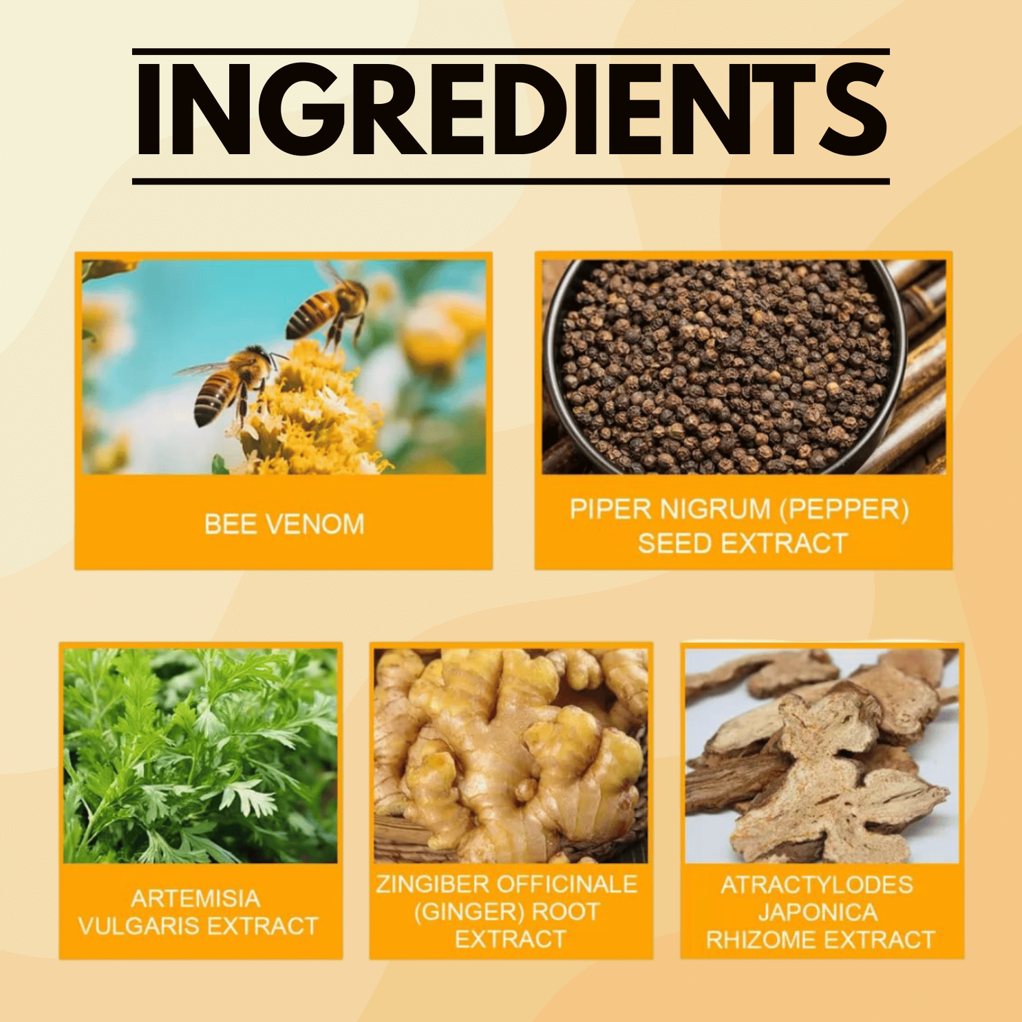 LeanPatch™ - Bee Venom Lymphatic Drainage & Sliming Patches