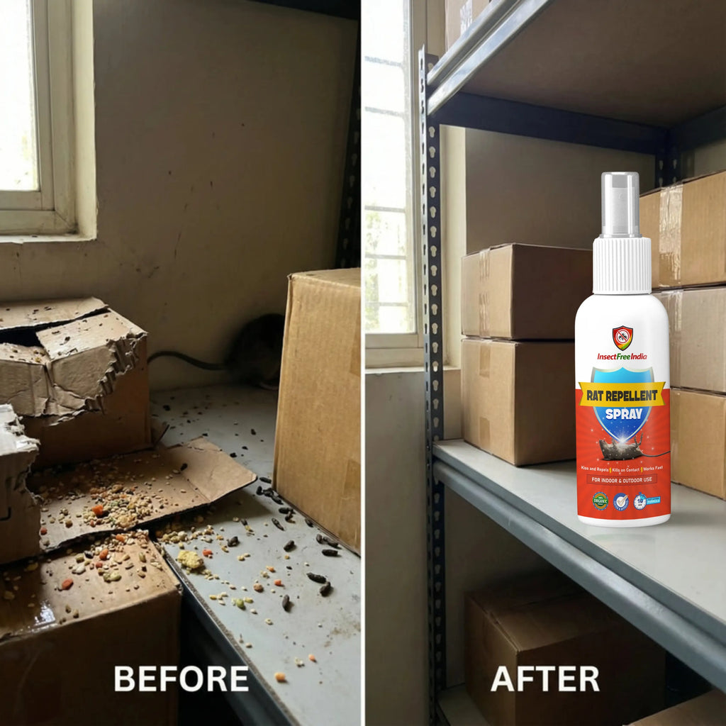 Rat Repellent Spray for Home & Storage | Herbal Rodent Control | Non-Toxic & Safe | Insect Free India